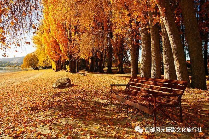 李玫瑾批评《繁花》,引热议!道歉删帖难平众怒?闹大了!